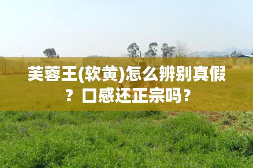 芙蓉王(软黄)怎么辨别真假？口感还正宗吗？